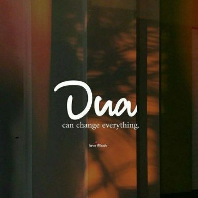 Hiba_Behredin Profile Picture