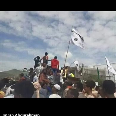 ዳእዋ ወልጅሀድ profile picture