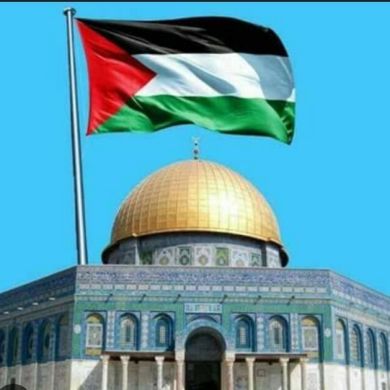 Noha Abd ElGalil Profile Picture