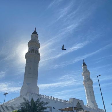 ثرا الأثر Profile Picture