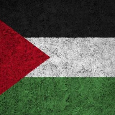 Mahmoud Shaltout Profile Picture