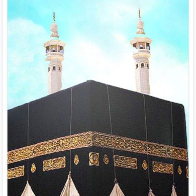 abu niema nursefa Mo