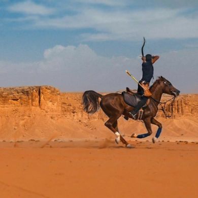 karim ahmed Profile Picture