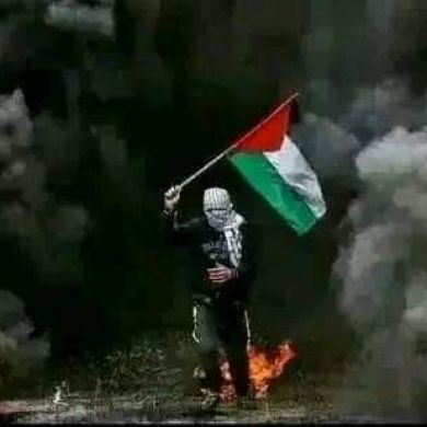 awi Alif Profile Picture