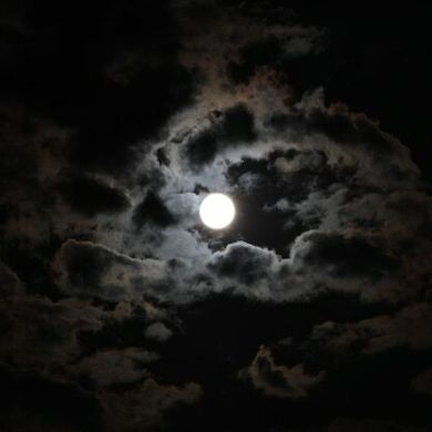 الحنبلي الهاشمي Profile Picture