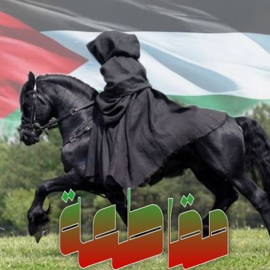 ناهد أحمد حسنين