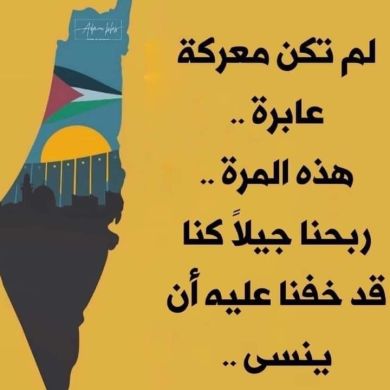 Mariam Shokary Profile Picture