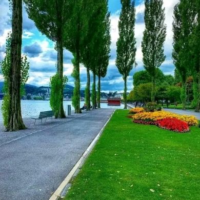 Abdulqadir Hassen Profile Picture