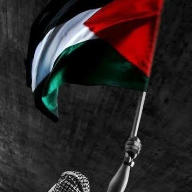 Salah Din Profile Picture