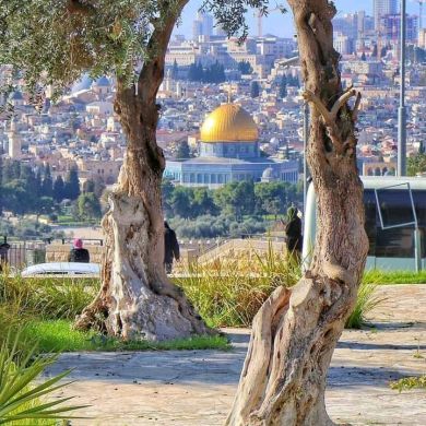 Esmael Miftah Mohammed