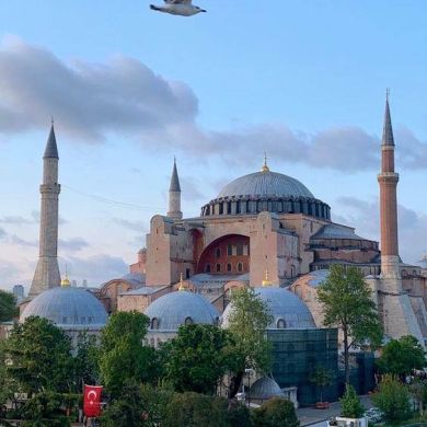 Заира Телеева Profile Picture