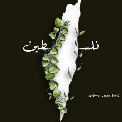 MohamedAwad Profile Picture