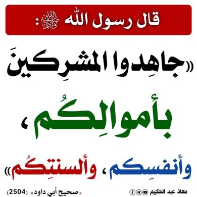 Seid Assefa Profile Picture