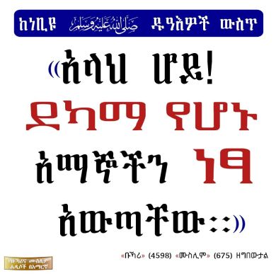 habib abdulfeta Profile Picture