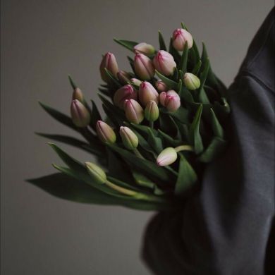 ahlam chenikri Profile Picture