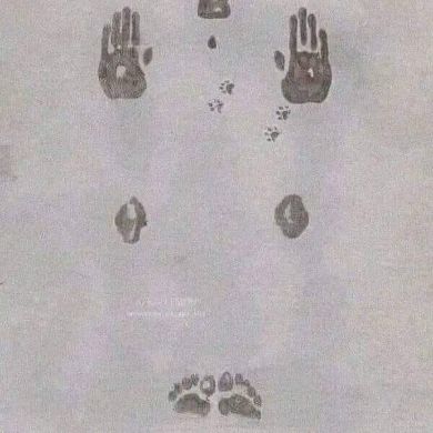 Nesredin Siraj Profile Picture