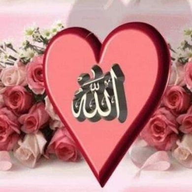 seid shumye Profile Picture