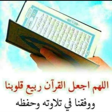 UmZubair UmZubair Profile Picture