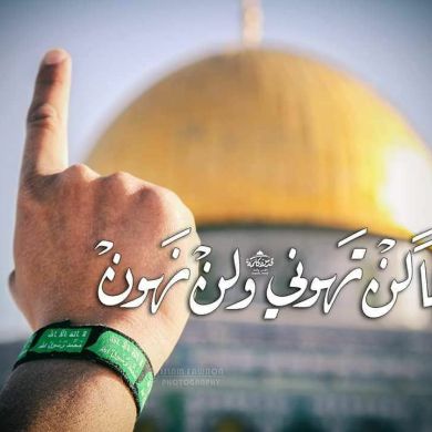 Meksud Mehamed Profile Picture