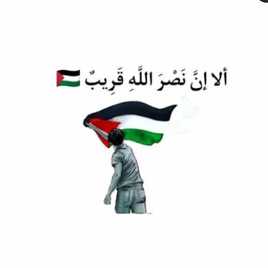 fafi muhamed fafi Profile Picture