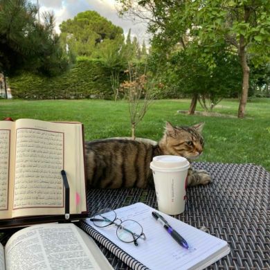 Malak Badr Profile Picture