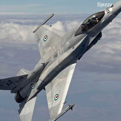 mohamed guendouz Profile Picture