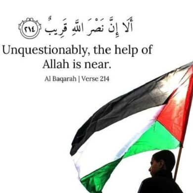 mukerem kedr Profile Picture