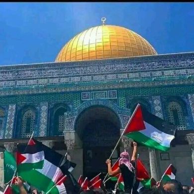 Muhiden Hussn Profile Picture