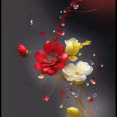 أبو عبد الرحمن