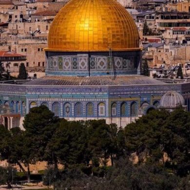 أحمد الهريمي