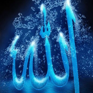 muksin kamil Profile Picture