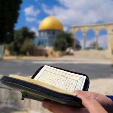 زهراء زهراء