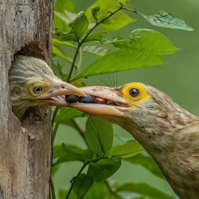 MUKTAR AMAAN Profile Picture