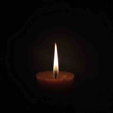 Reem Fareed Profile Picture