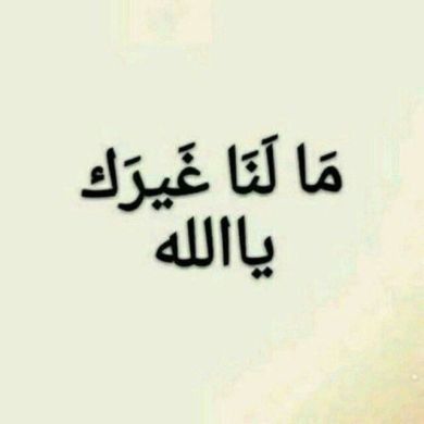 zeyneb arebo Profile Picture