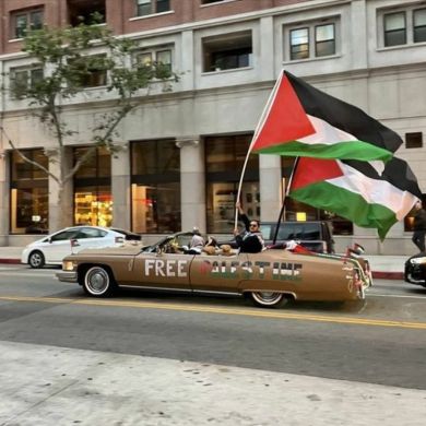 red nesre Profile Picture