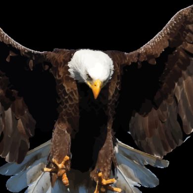 QA_Testing profile picture