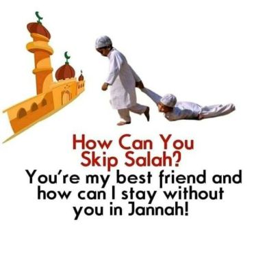 Medina Taha profile picture