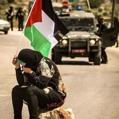 Abdulsemed siyefedin sifedin Profile Picture