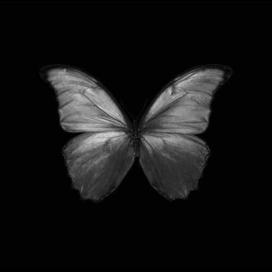 ጉረባእ غرباء