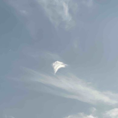 عبدالرحمن الشامي