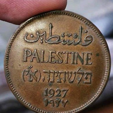 Reshad Profile Picture