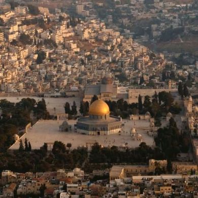 hamzah hazim Profile Picture