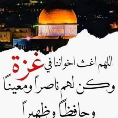 yasmin awel Profile Picture