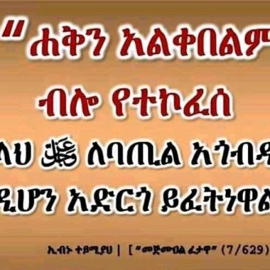 ibrahim kedir Profile Picture