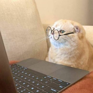 العنود ريم Profile Picture