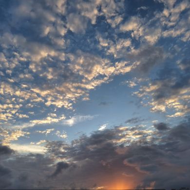 حسان خريسات