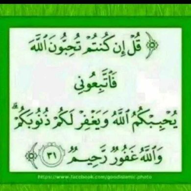 mubeshir hussen Profile Picture