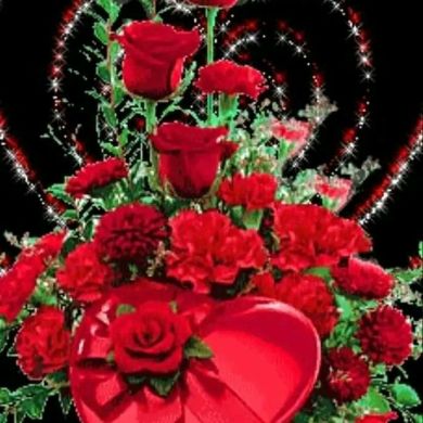 Ahmed mhmedkiyar Profile Picture