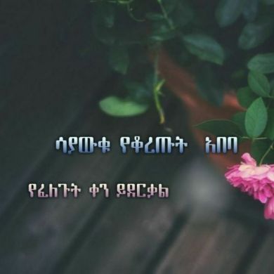 foziit nuru Profile Picture